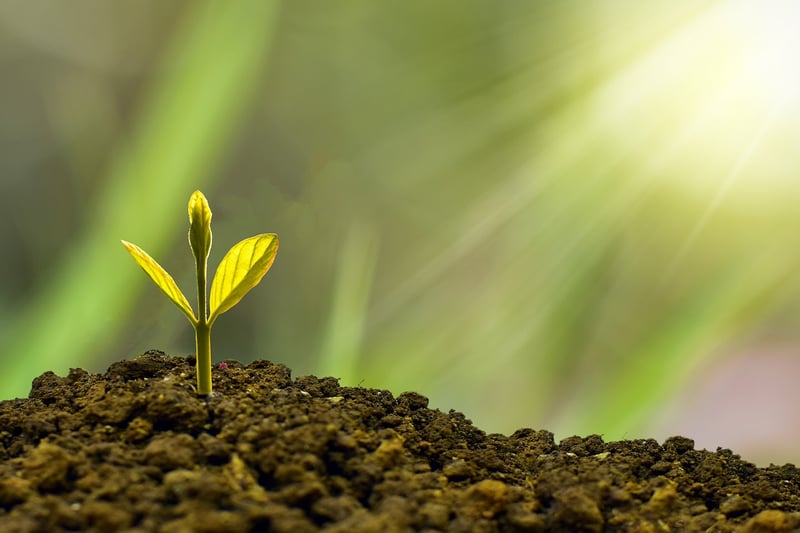 Eco-Friendly Suppliers Image